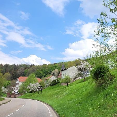 Apartament Family House Eberbach  Zewnętrze zdjęcie