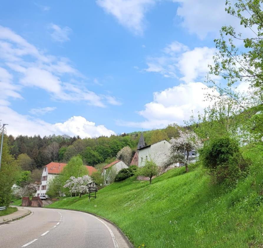 Apartament Family House Eberbach  Zewnętrze zdjęcie