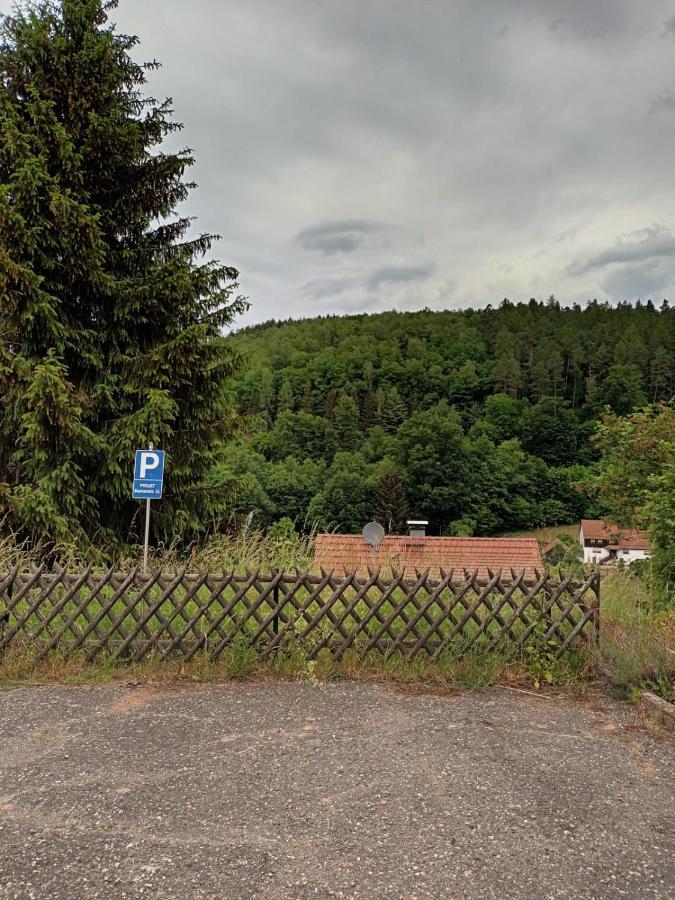 Apartament Family House Eberbach  Zewnętrze zdjęcie
